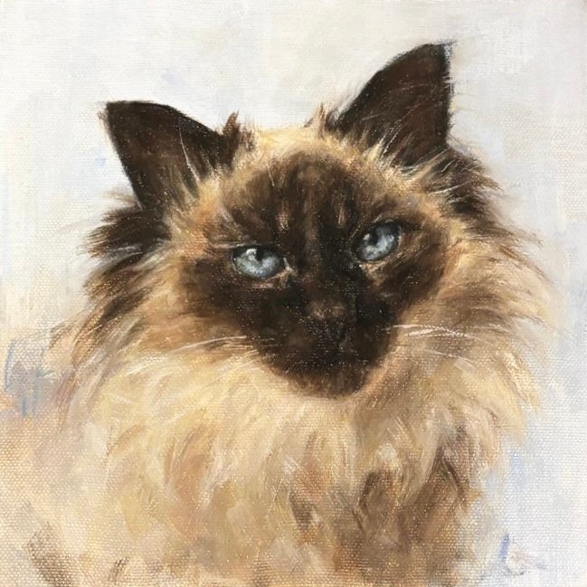 Bella