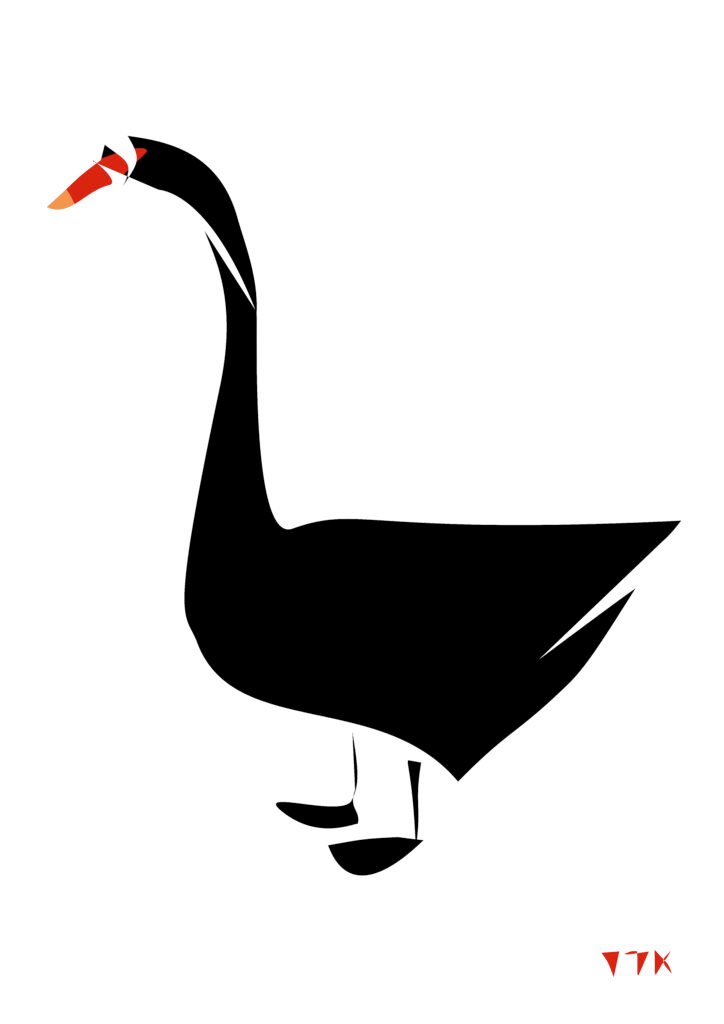 Black Swan
