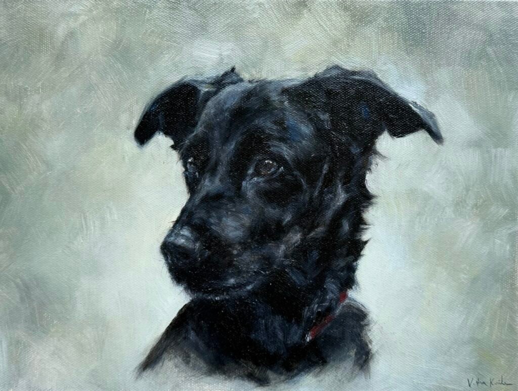 Indi