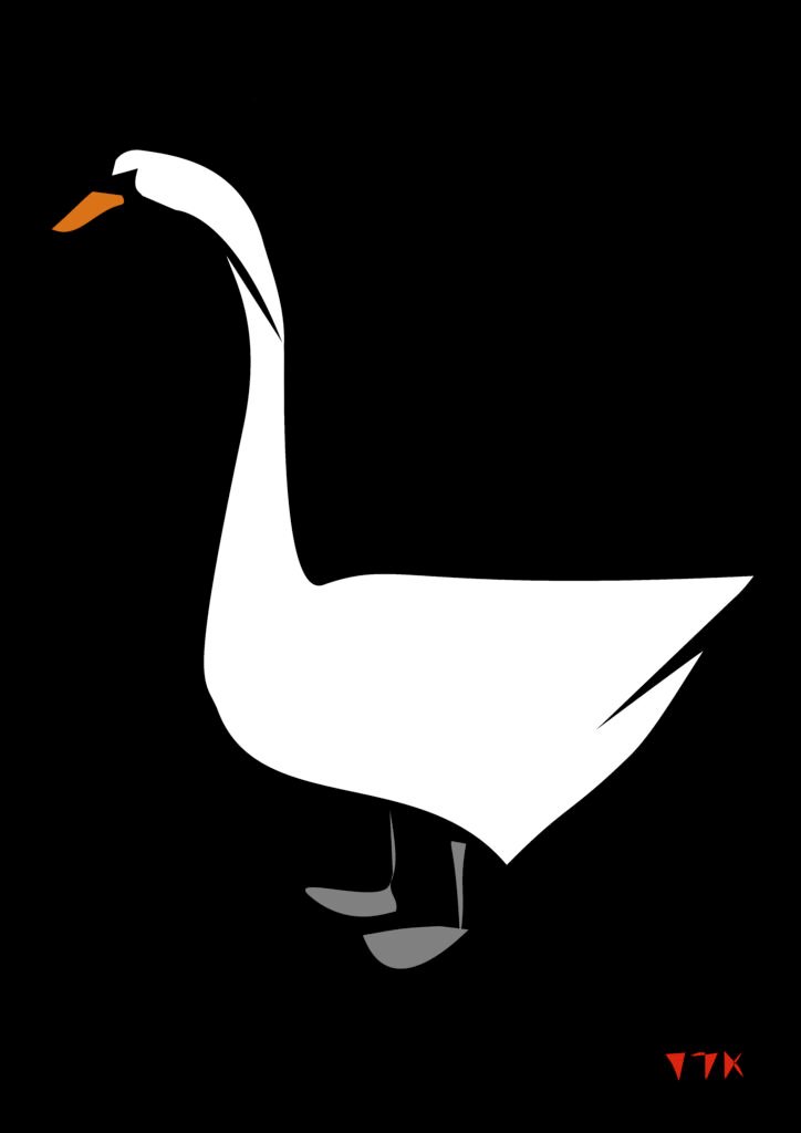 White Swan